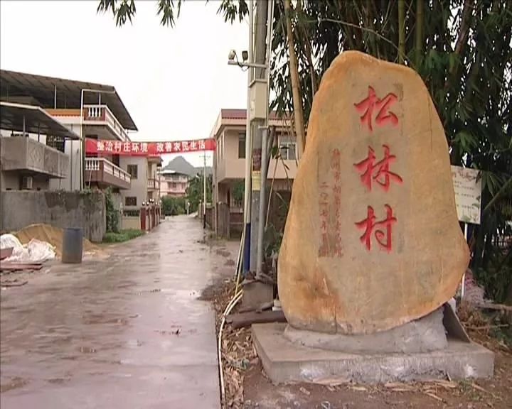 走进梅县桃尧松林村,听听村民谈变化,说未来