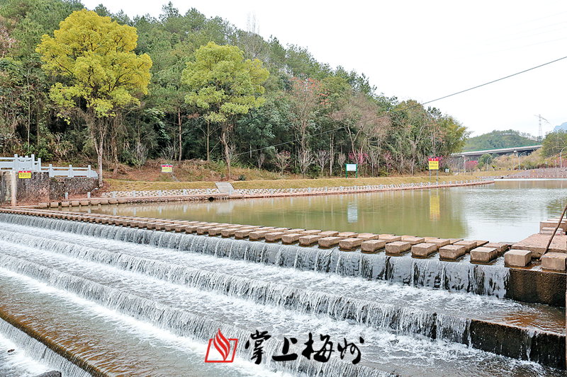 经过整治后的大柘河道宽敞,河水清澈,成为市民休闲好去处.