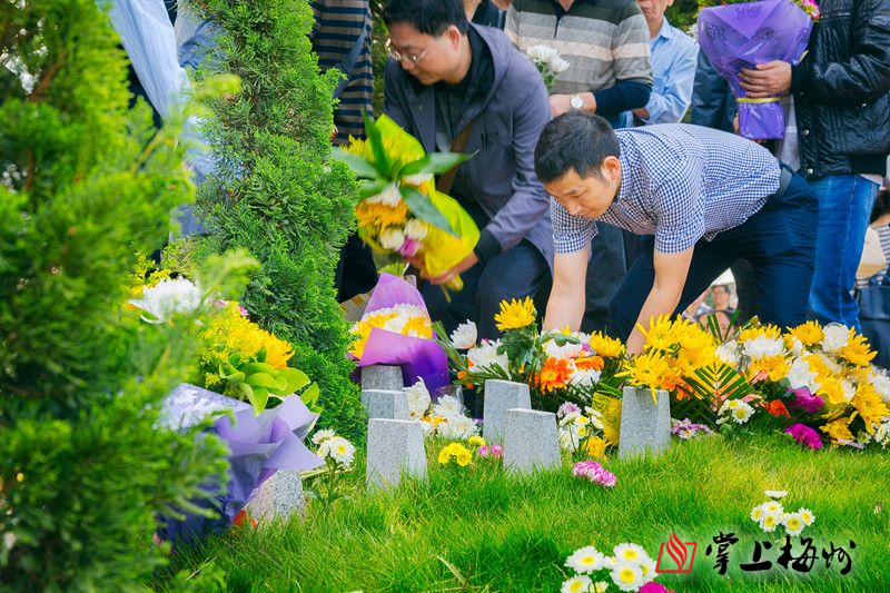 市民在缅怀树葬的先人(连志城 摄)