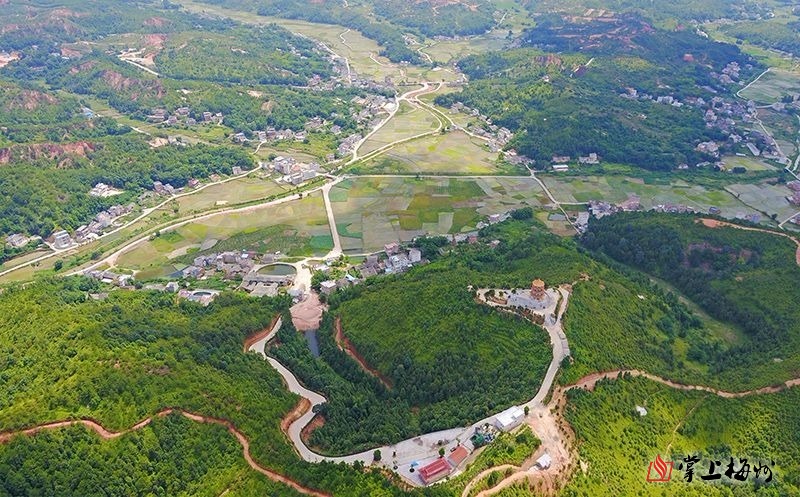 罗浮镇的澄联村四面环山,村西北的铜鼓寨山海拔高度428米,目前正在兴