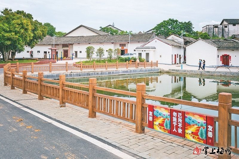 火龙果,千亩韭菜,各式蔬果等,在田野里分块布局……走进兴宁市龙田镇