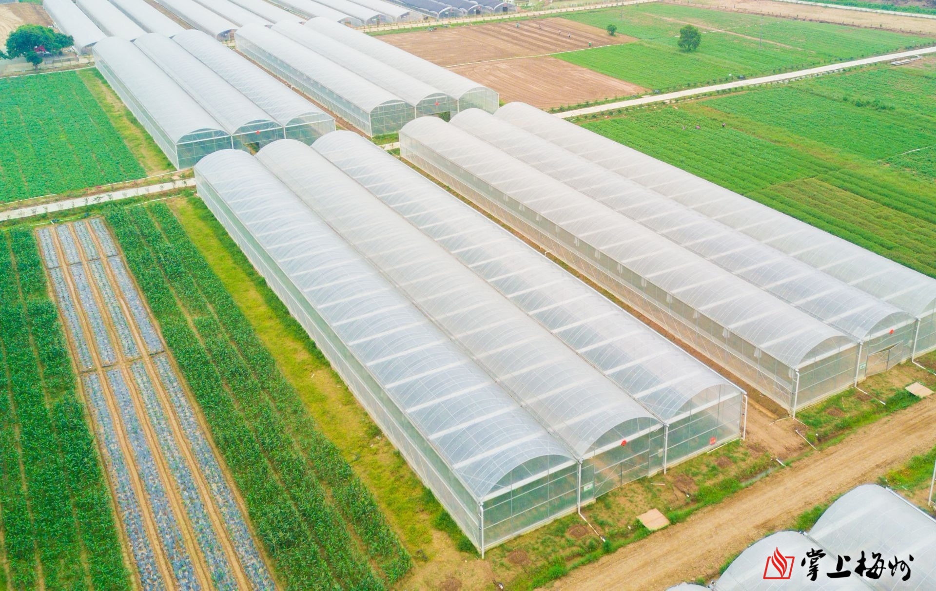 超顺集团安流基地拥有梅州最先进的种植大棚.