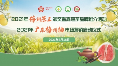 直播丨2021年“梅州茶王”颁奖暨嘉应茶品牌推介活动和2021年广东梅州柚市场营销启动仪式 