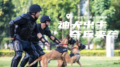 直播丨神犬出击 奇兵来袭！探访广东省公安厅警犬训练基地