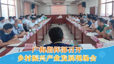 梅州V视丨广梅指挥部召开乡村振兴产业发展现场会