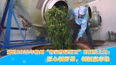 梅州V视丨解码2022年梅州“客家炒绿茶王”的成功之路：匠心制好茶，创新赢市场