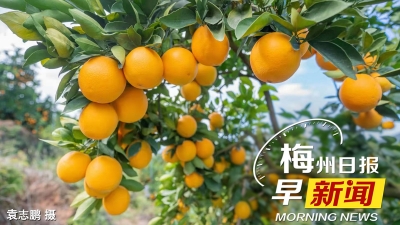 梅州日报早新闻丨来（返）梅人员健康管理措施有调整；平远县第十八届脐橙文化旅游节定于18日举行