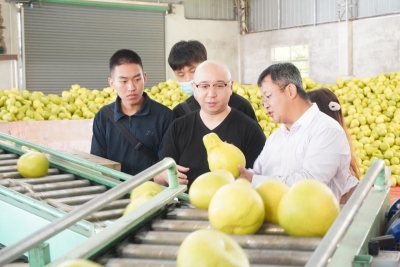 科技助力 大“柚”可为！嘉应学院科技特派员团队助推梅县区隆文镇金柚产业高质量发展