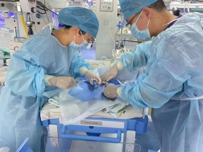 打通新生儿“生命绿色通道”！梅州市中医医院新生儿科开展脐静脉置管术