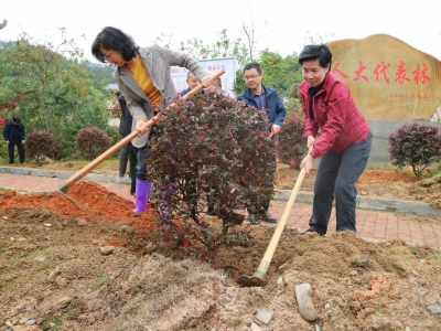 共添一抹新绿！大埔县人大常委会组织开展植树活动