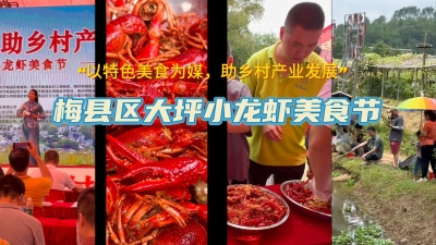 梅州V视丨梅县区大坪小龙虾美食节举行