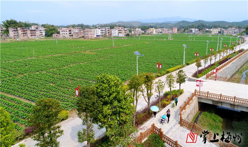 五华县安流镇半径村农村人居环境整治助推乡村振兴.