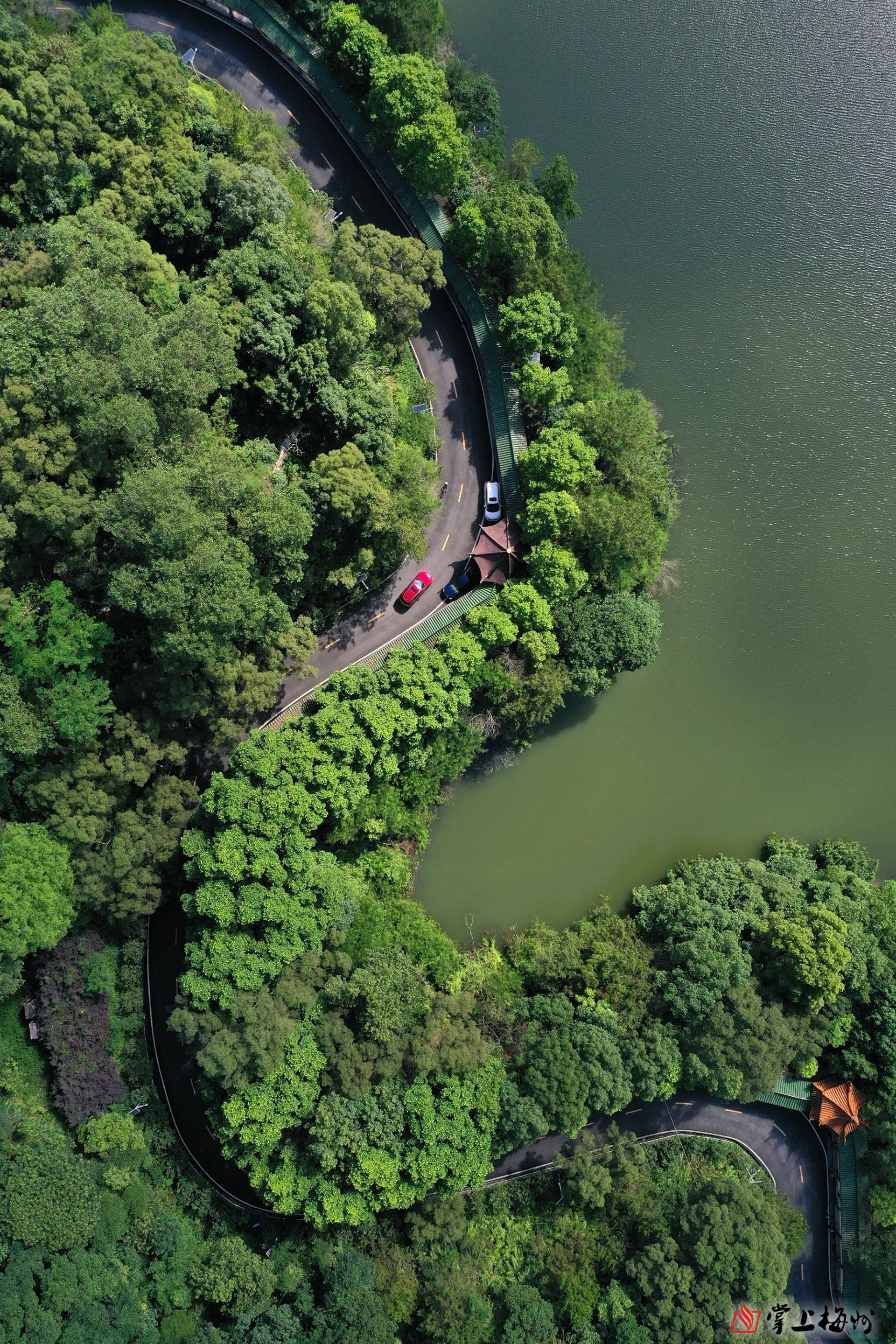 泮坑风景区的环湖绿道绿树环绕,风景秀美,是市民休闲健身的好去处
