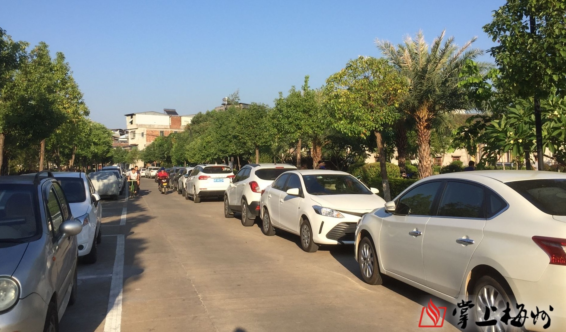 梅城珍珠公园车辆停放太任性!