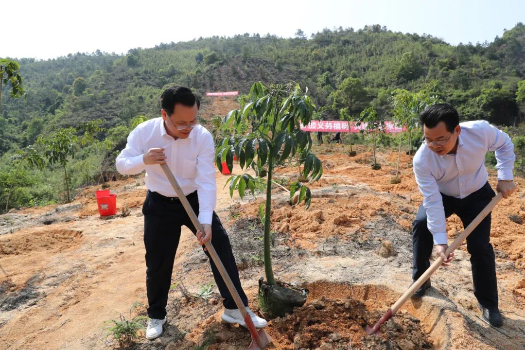 努力让丰顺大地更绿更美更富曾永祥廖茂忠率队参加全民义务植树活动
