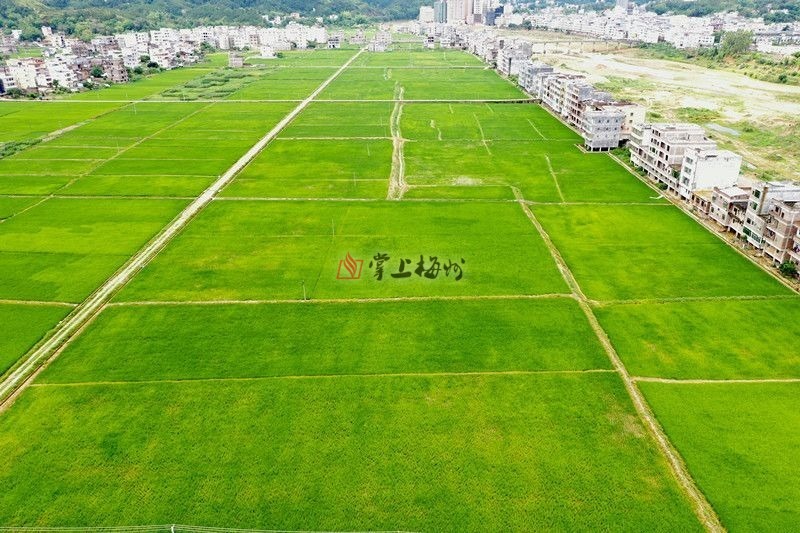 旱地變水田水田變風景五華梅林這片沉睡土地醒了