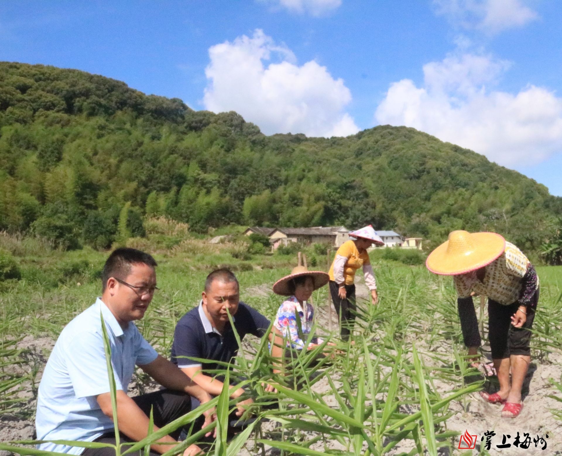 兴宁市罗浮镇新南村第一书记古远洋: "两个肩膀都要挑着担子!