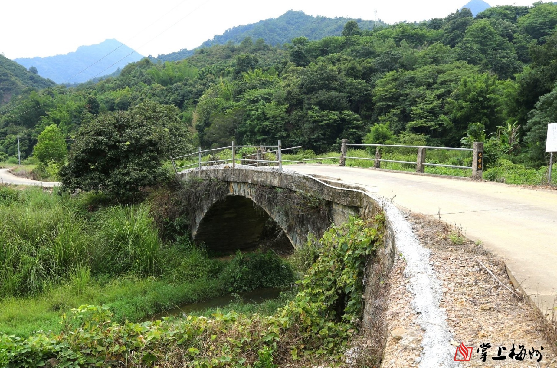 丰顺县九龙村脚踏红土地耕耘致富茶