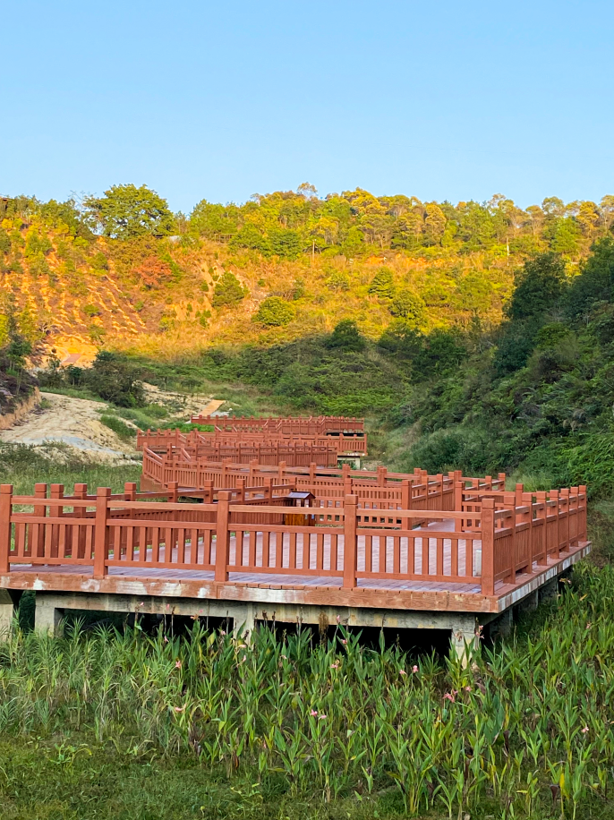 20至28日来五华县天云岭森林公园感受森林文化