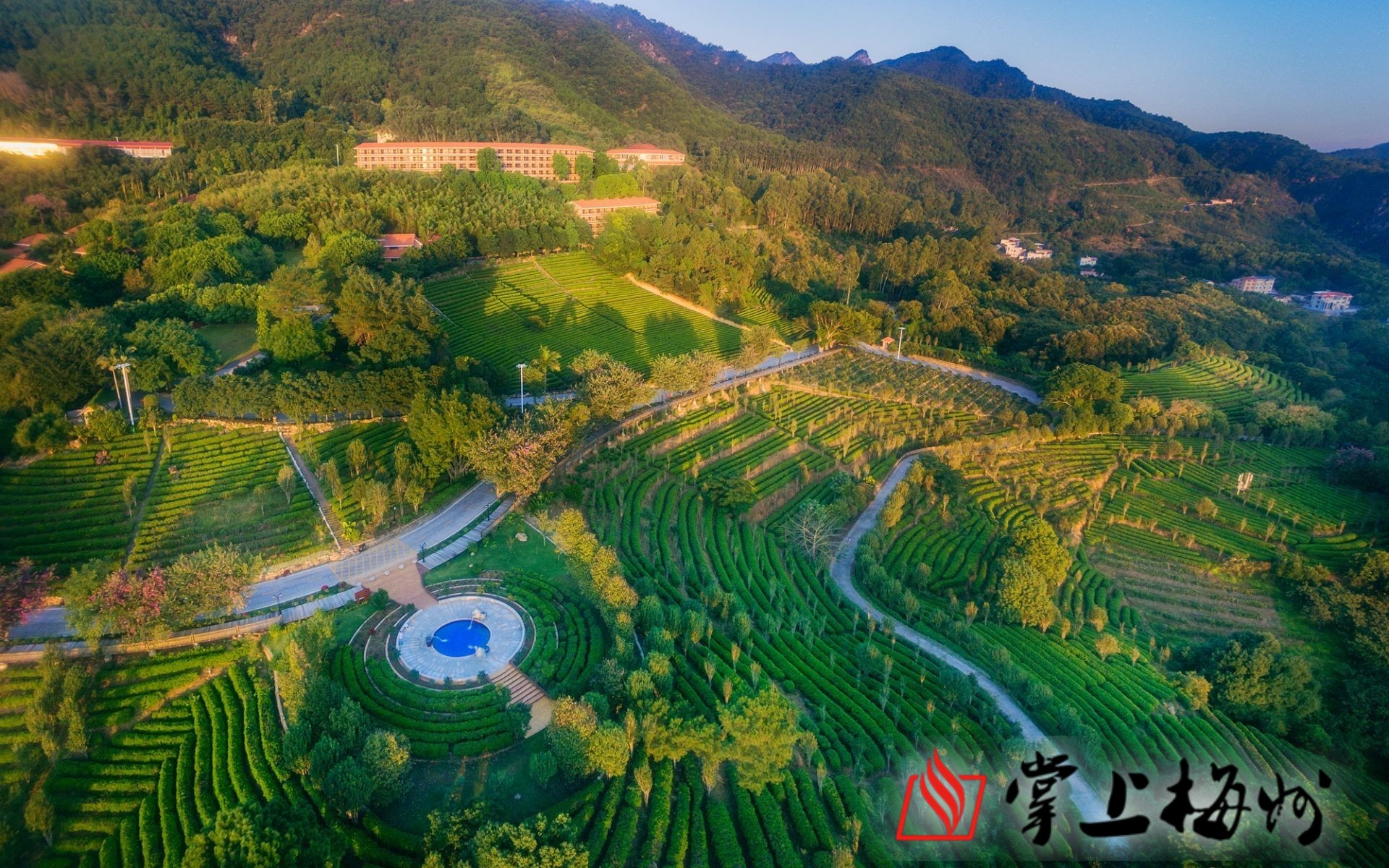 梅州茶园旅游区图片