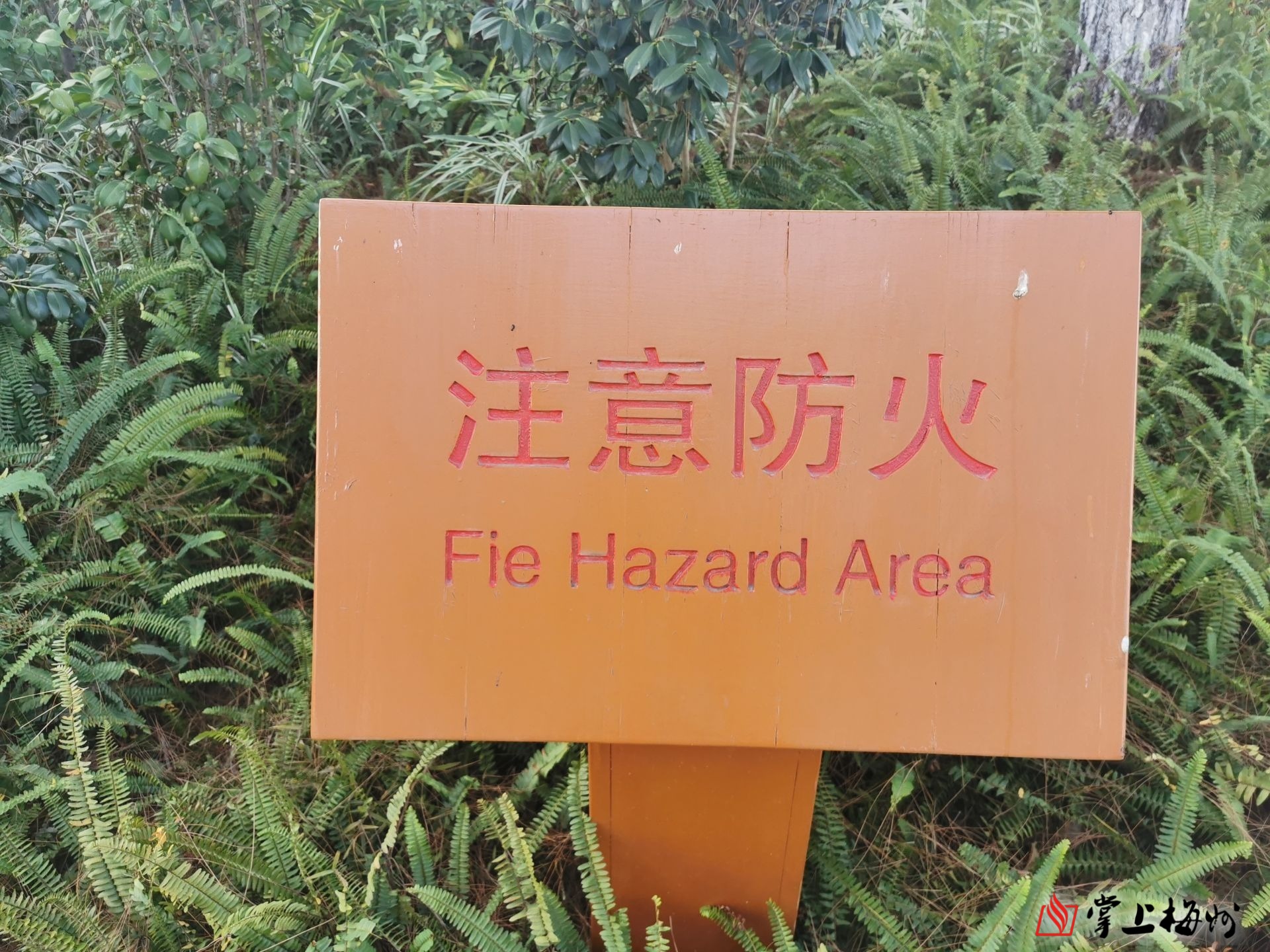 马鞍山公园警示牌英文成硬伤市民盼望相关部门尽快更正