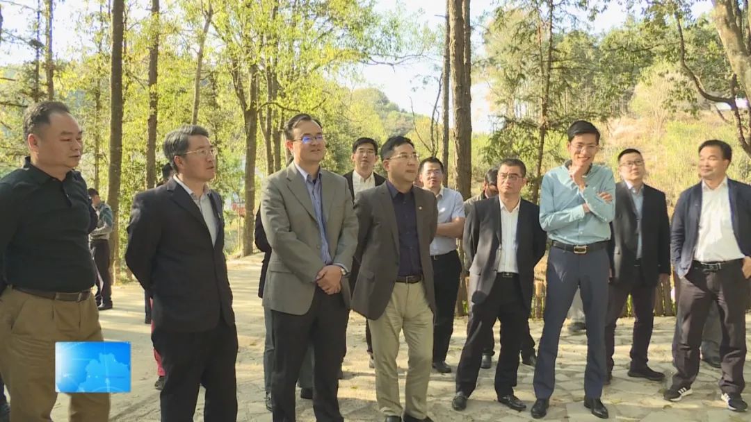 国家开发银行广东省分行党委书记行长刘浩率队到五华调研国家储备林