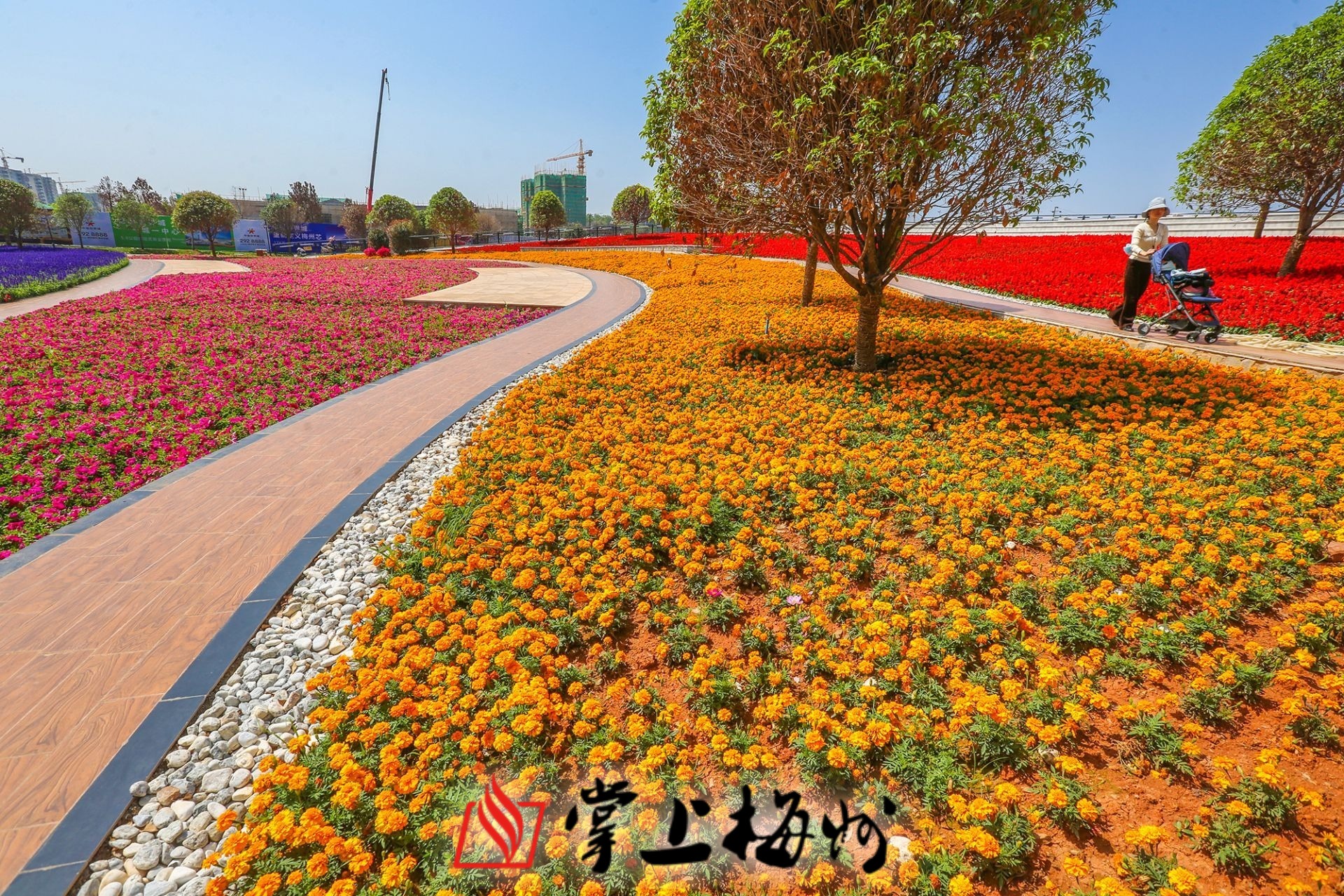 梅州市人民政府门户网站 梅州市嘉应新区 工作动态 春天,来绿轴花园