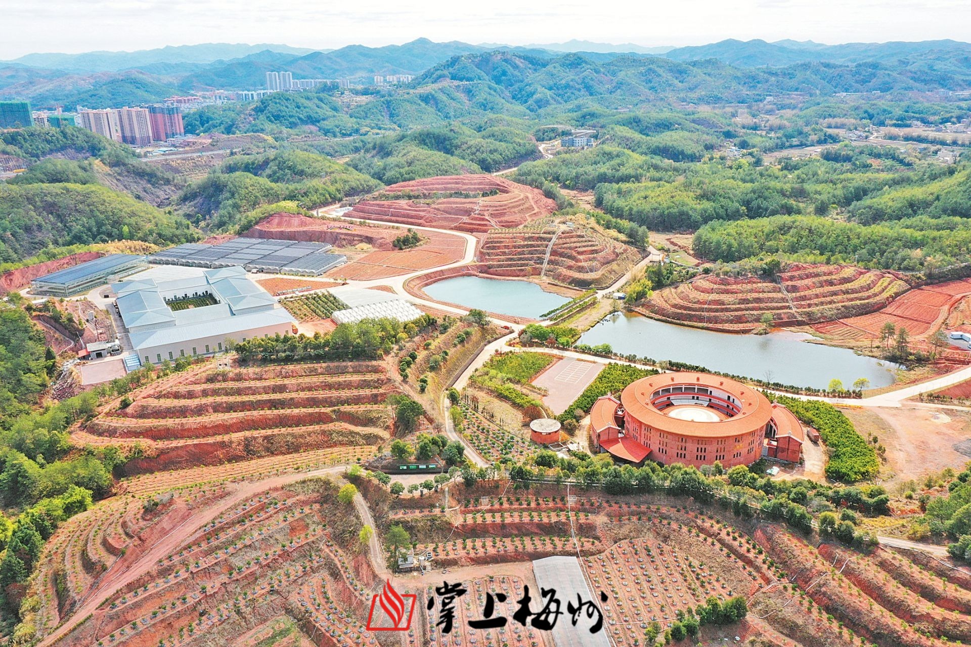 大柘镇凤池村的平远县脐橙省级现代农业产业园.