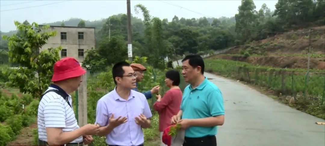 忆青春丰顺埔寨农场知青返乡再聚首喜看家乡新变化