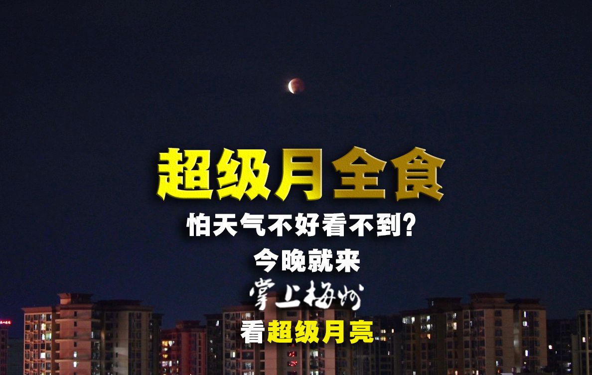 直击现场！星纪世界·南湖乐园启动内部运营测试，记者带你入园“尝鲜”