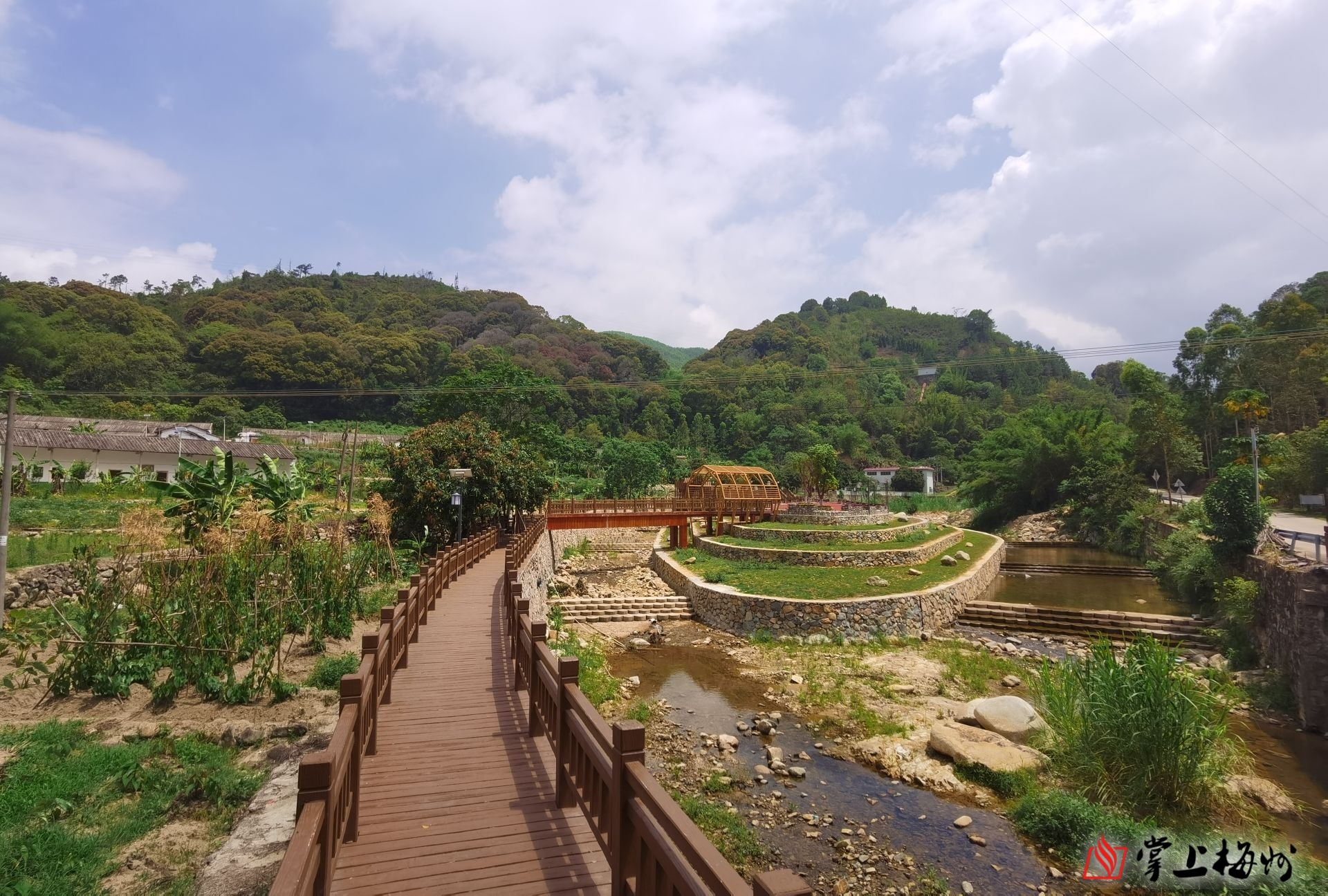 丰顺扎实做好"三农"工作,乡村振兴迈出铿锵步伐!