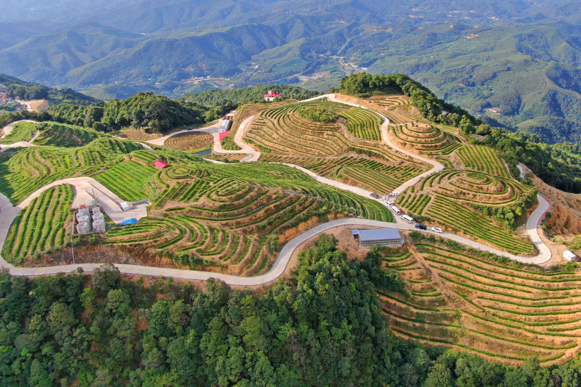 梅江区明山村走出一条乡村振兴"红 绿"的实路子_掌上梅州