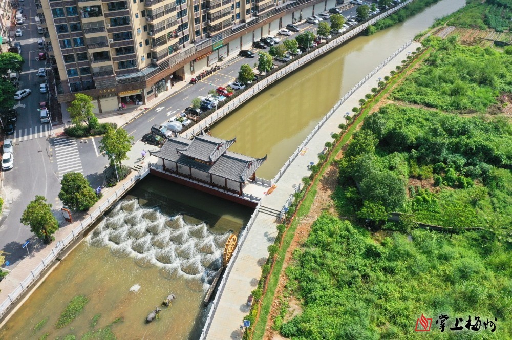 "黄华信是蕉岭县蕉城镇母子桥附近的居民,每天闲暇时分,他都会带着