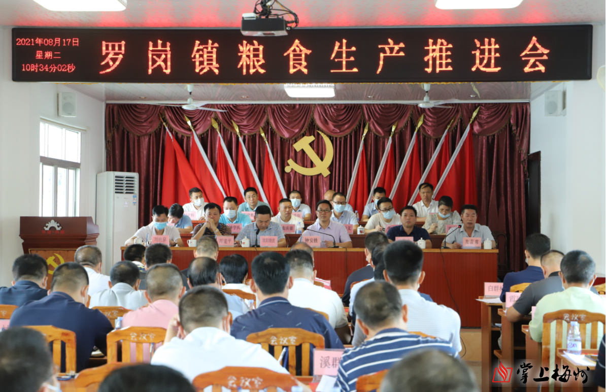 端牢饭碗把握粮食安全主动权兴宁市罗岗镇召开粮食生产推进会