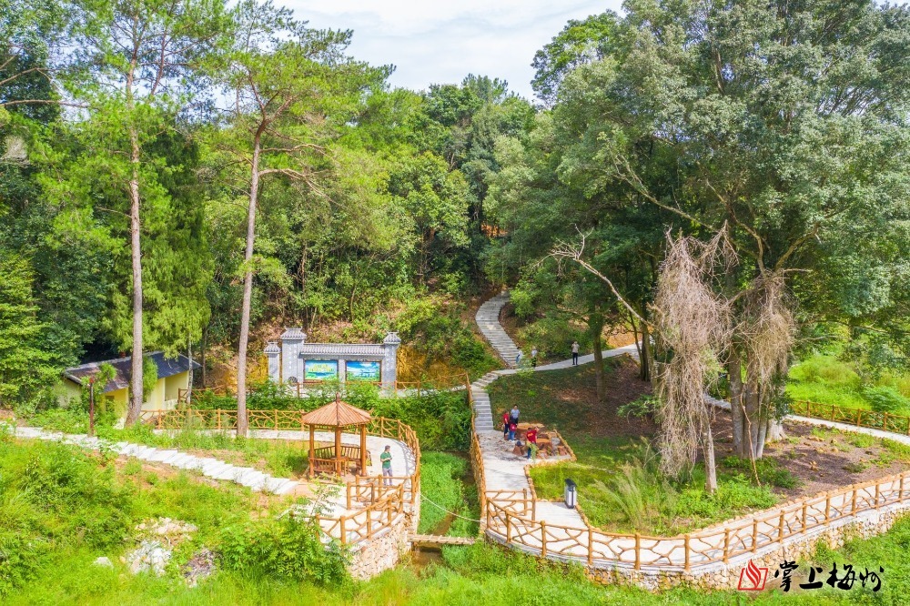 古树婆娑青山如画梅县白玉村古树公园扮靓美丽乡村