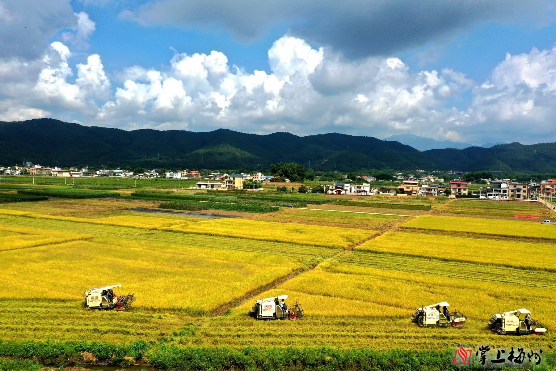 蕉岭上榜"全国农业社会化服务创新试点县"名单_掌上梅州