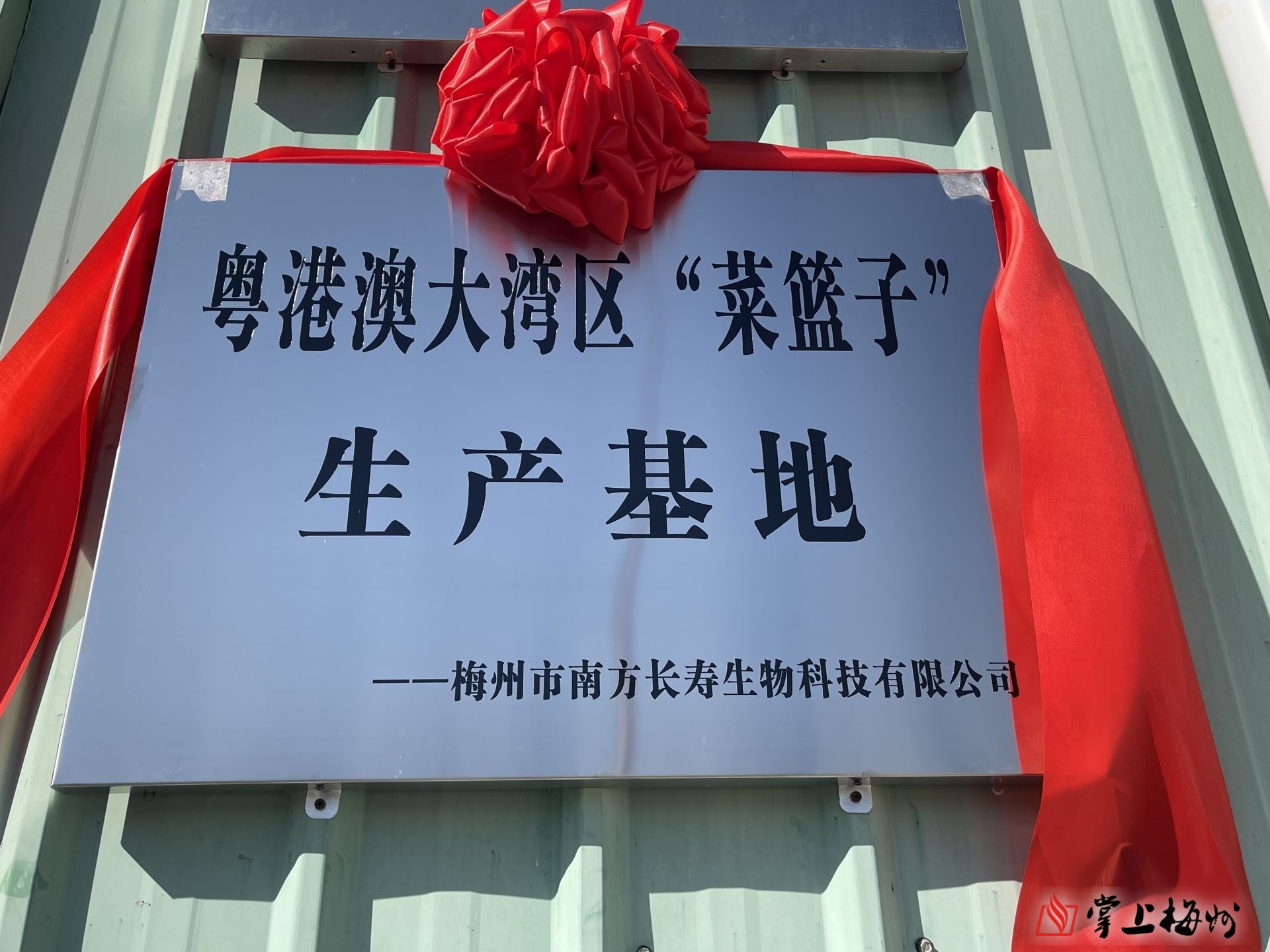 蕉岭举行粤港澳大湾区菜篮子生产基地揭牌仪式