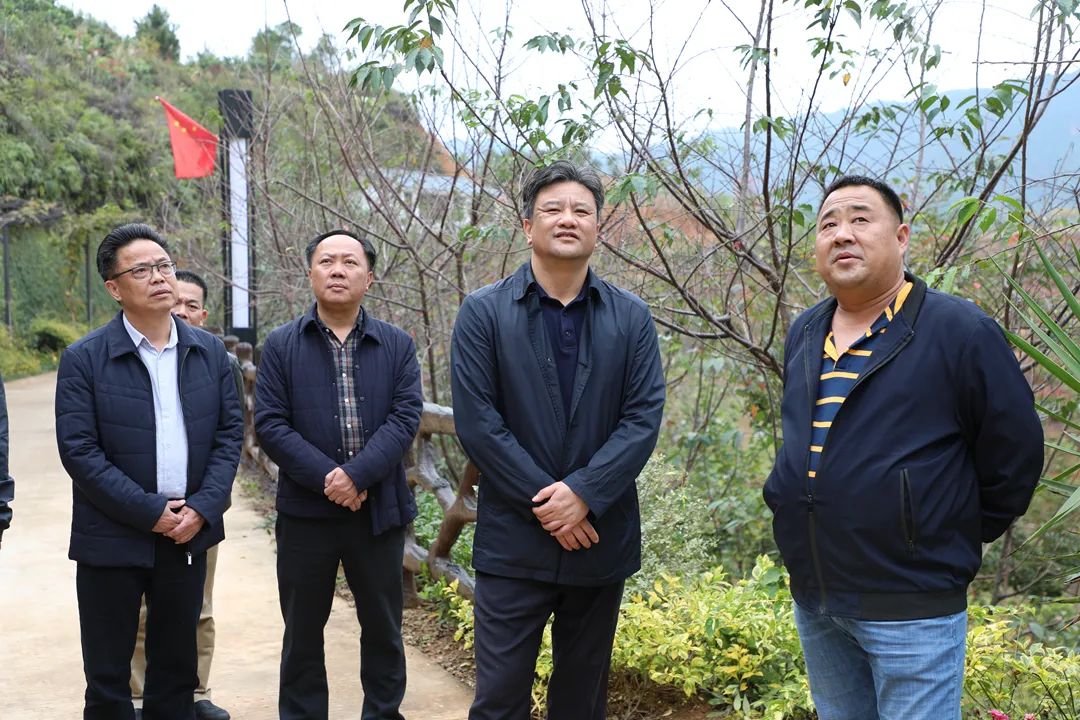 黄增国到大埔县洲瑞镇银江镇调研乡村振兴工作
