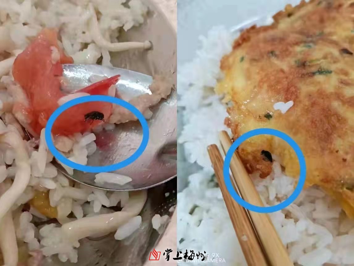 学生投诉了梅城一学校食堂饭菜有异物肉类未蒸熟来看看学校这样说