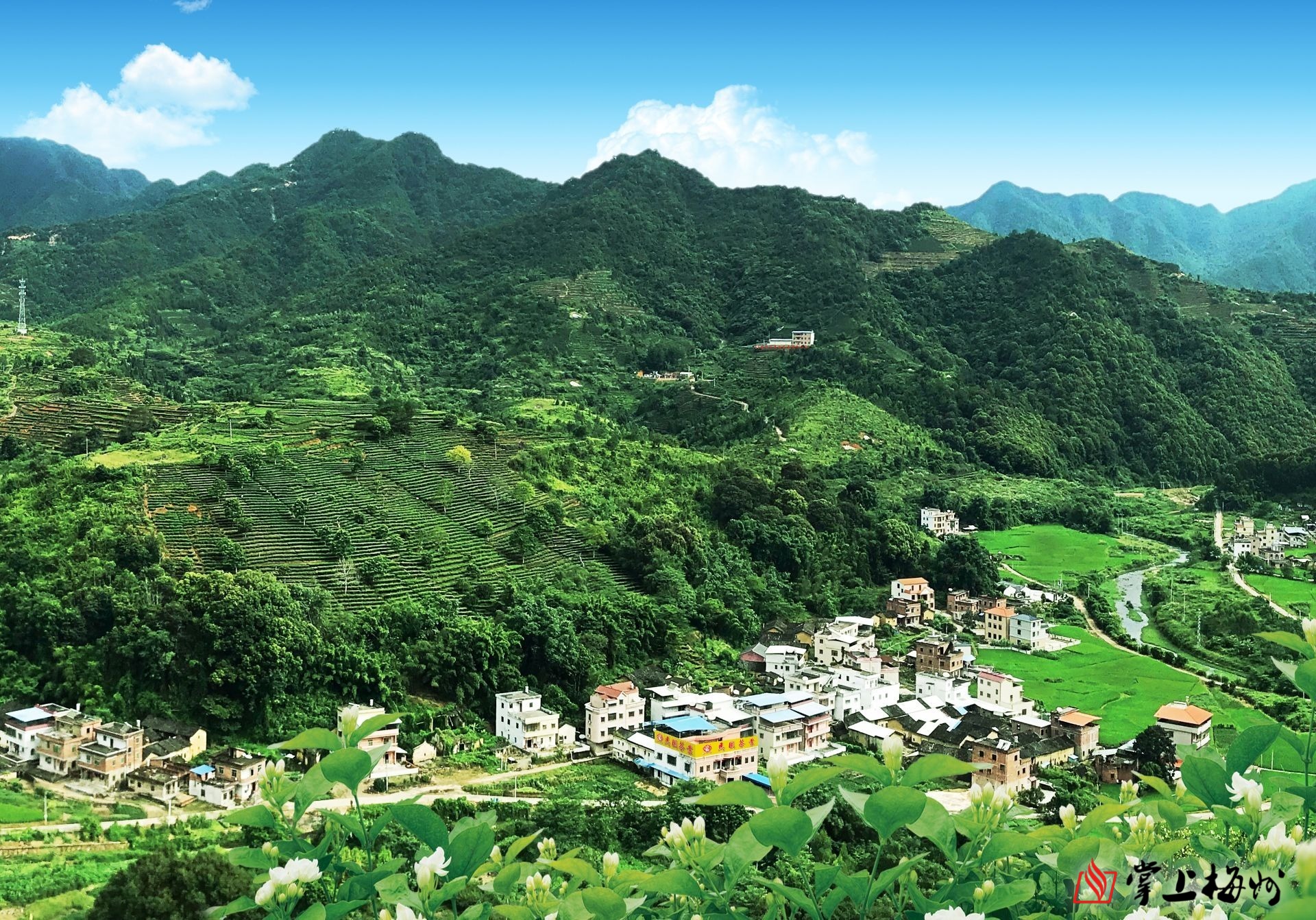 红色遗址红军茶生态游快来打卡丰顺马图村