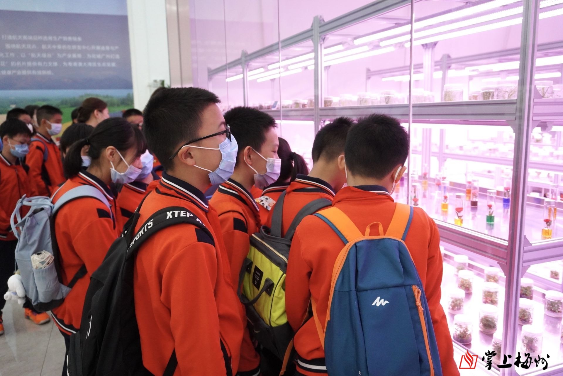 点亮航天梦想梅江区客都小学学生走进广梅航天育种研发中心