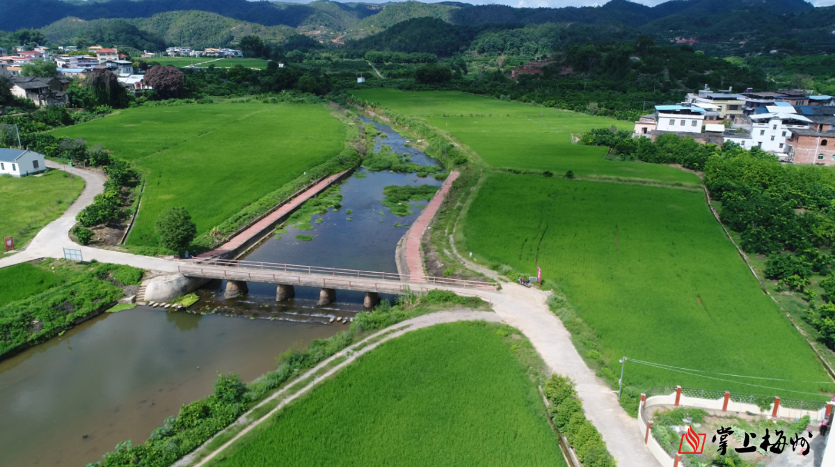 74 高水平保護耕地,全力構建數量質量生態三位一體的耕地保護新格局