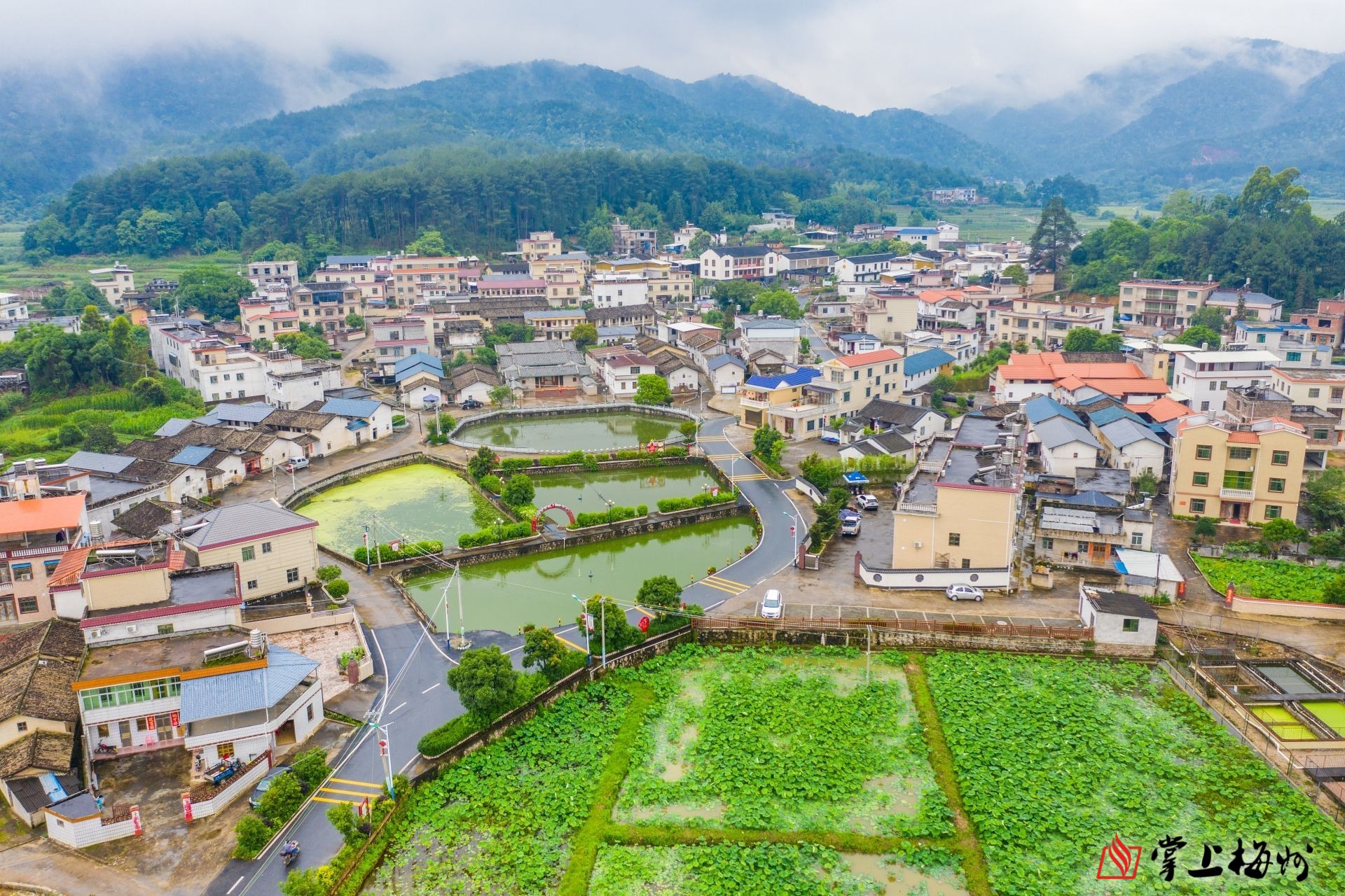 和煦新风至乡村气象新蕉岭广育村文明乡风遍地吹