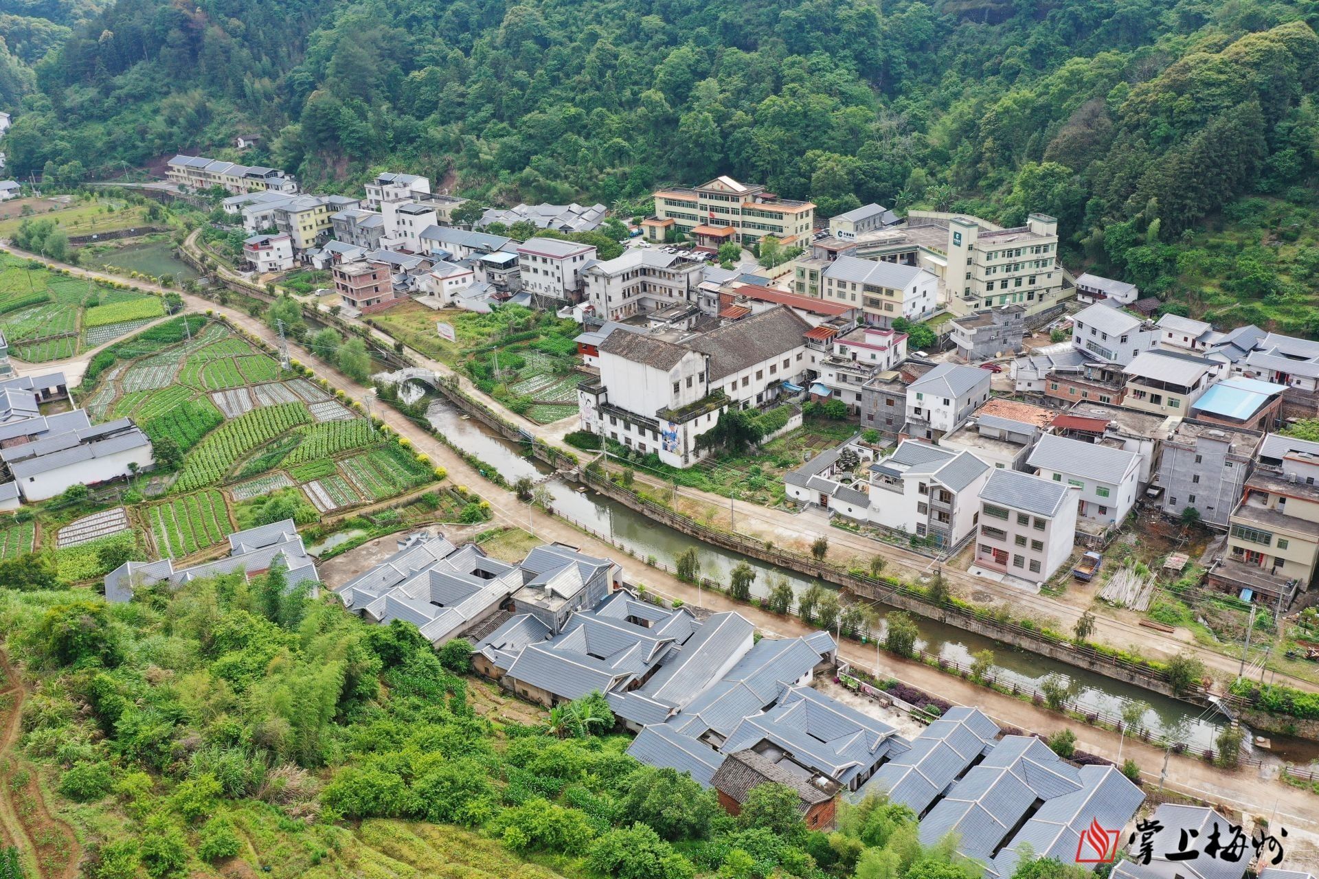 听耳畔流水叮咛观水面鹅鸭嬉戏这是平远上举镇绿色河道