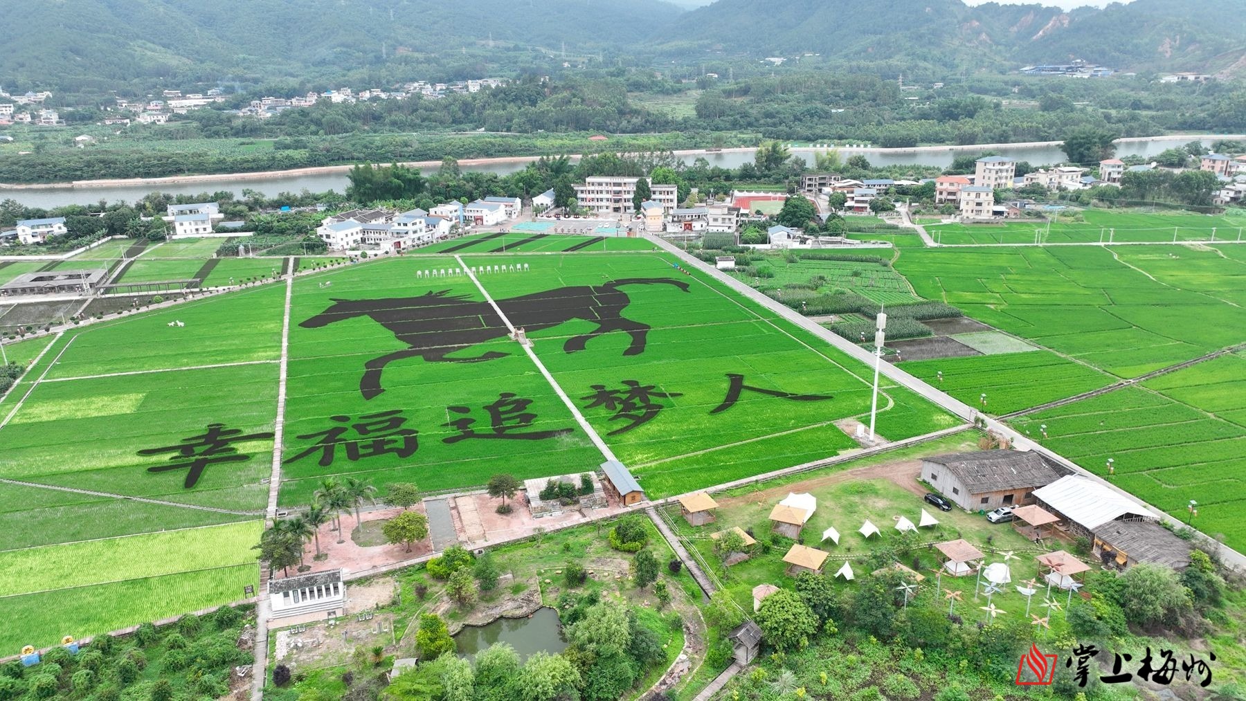 蕉嶺撂荒地滿綠復活