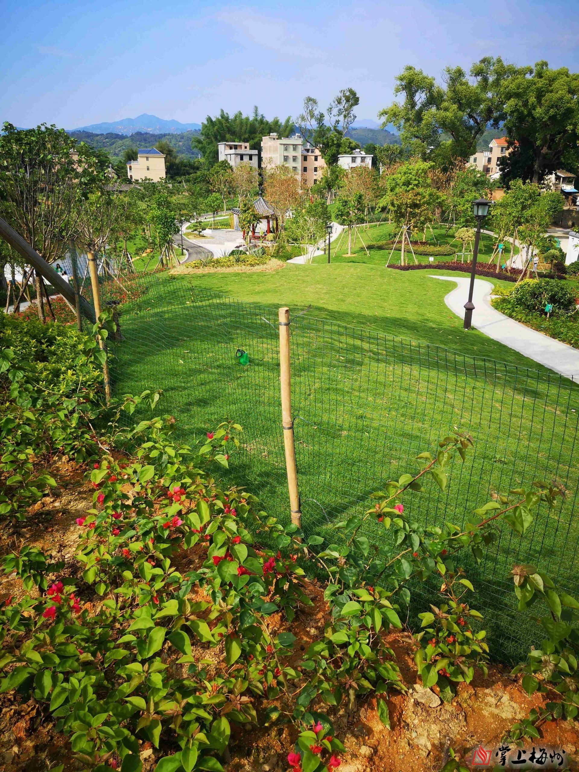 乡贤捐资千万建公园丰顺县留隍镇葛布村棋盘公园揭牌开园