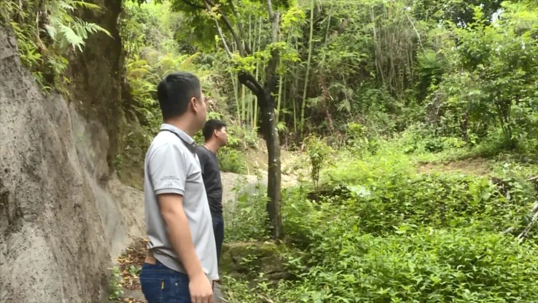 丰顺汤南对山塘水库地质灾害隐患点等进行全面排查