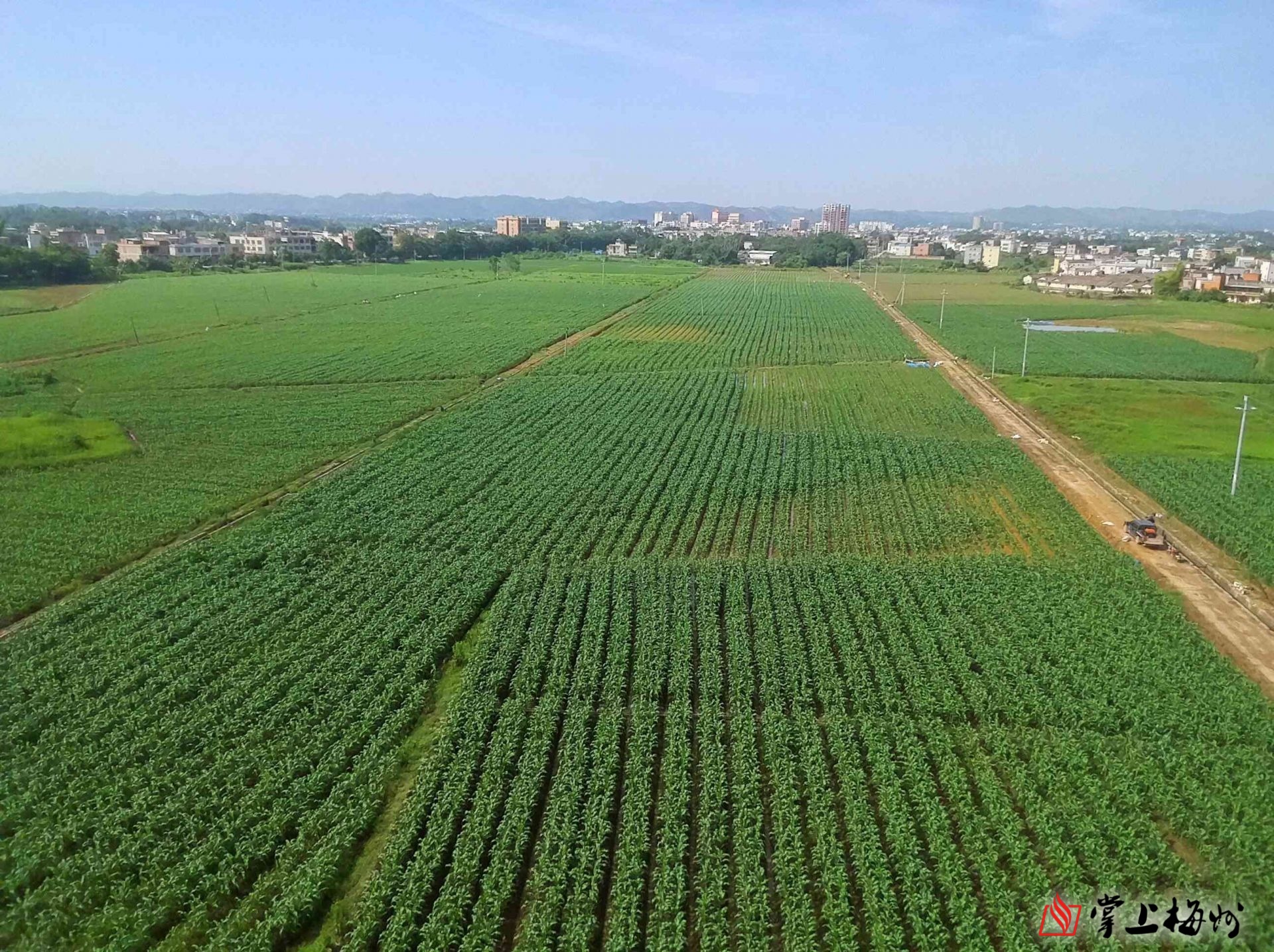 变荒为宝谋振兴兴宁市坭陂镇以治荒兴业破题乡村发展