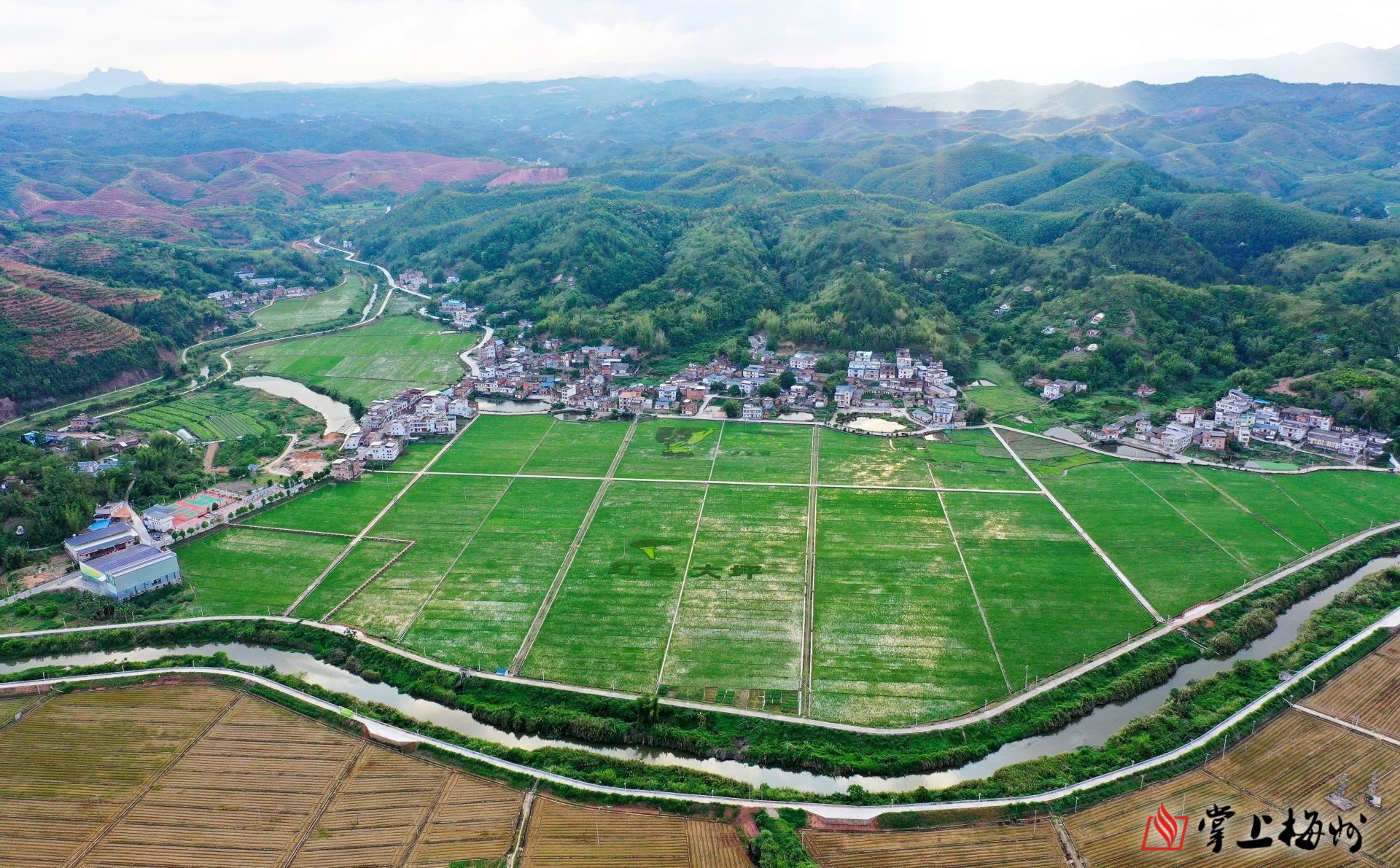 布骆包子豆腐,鹰嘴桃,鱼生……这些都是位于兴宁市西北部的大坪镇
