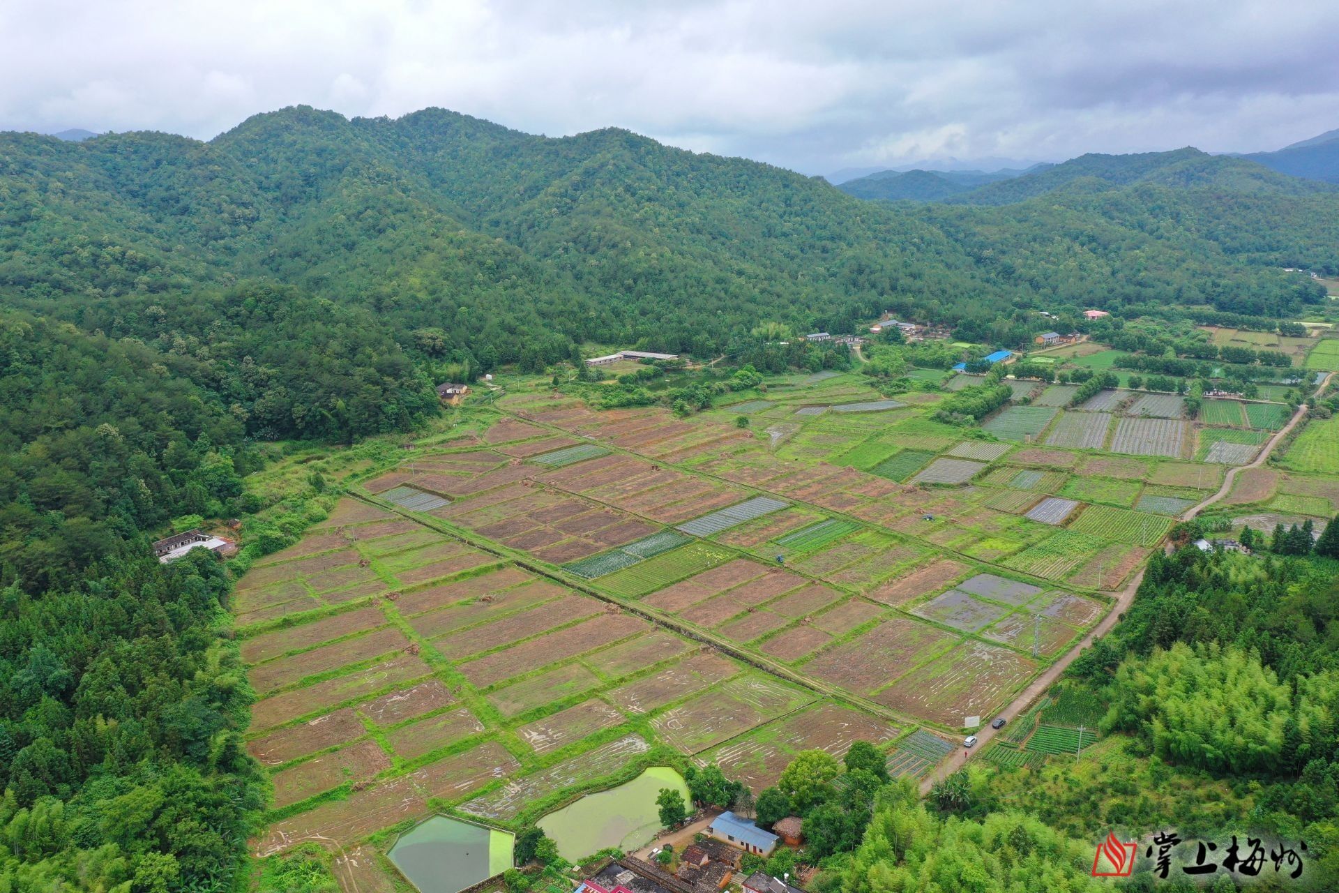 荒地變良田青苗吐新綠蕉嶺多措並舉推動撂荒耕地復耕複種端牢端穩飯碗